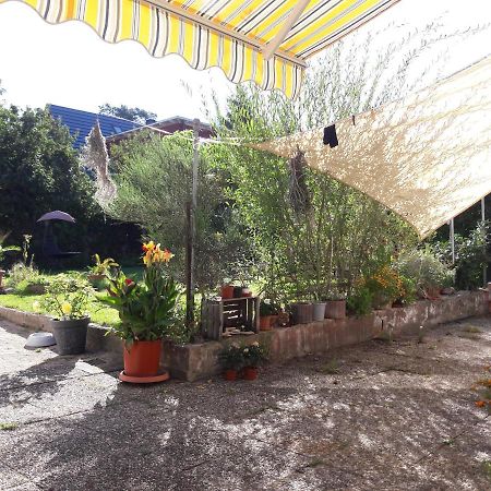 Ferienwohnung Lerchennest Georgensgmund Ngoại thất bức ảnh